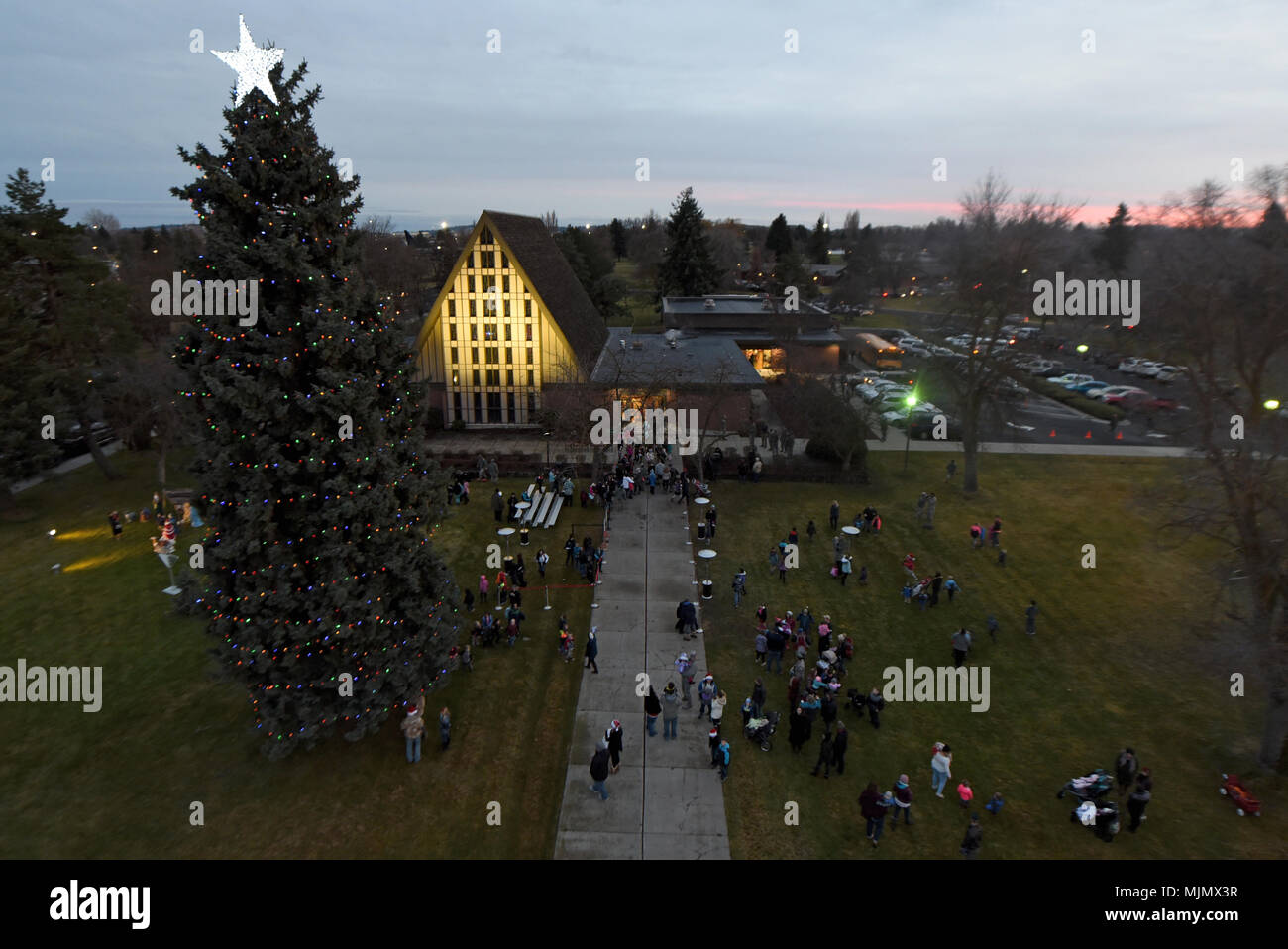 Tagtree hires stock photography and images Alamy