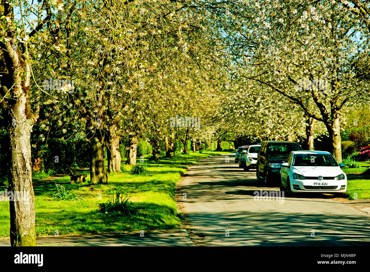 Newton on ouse hires stock photography and images Alamy