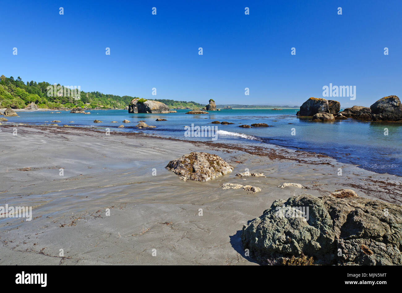 Low Tide in Trinidad Bay in California Stock Photo Alamy