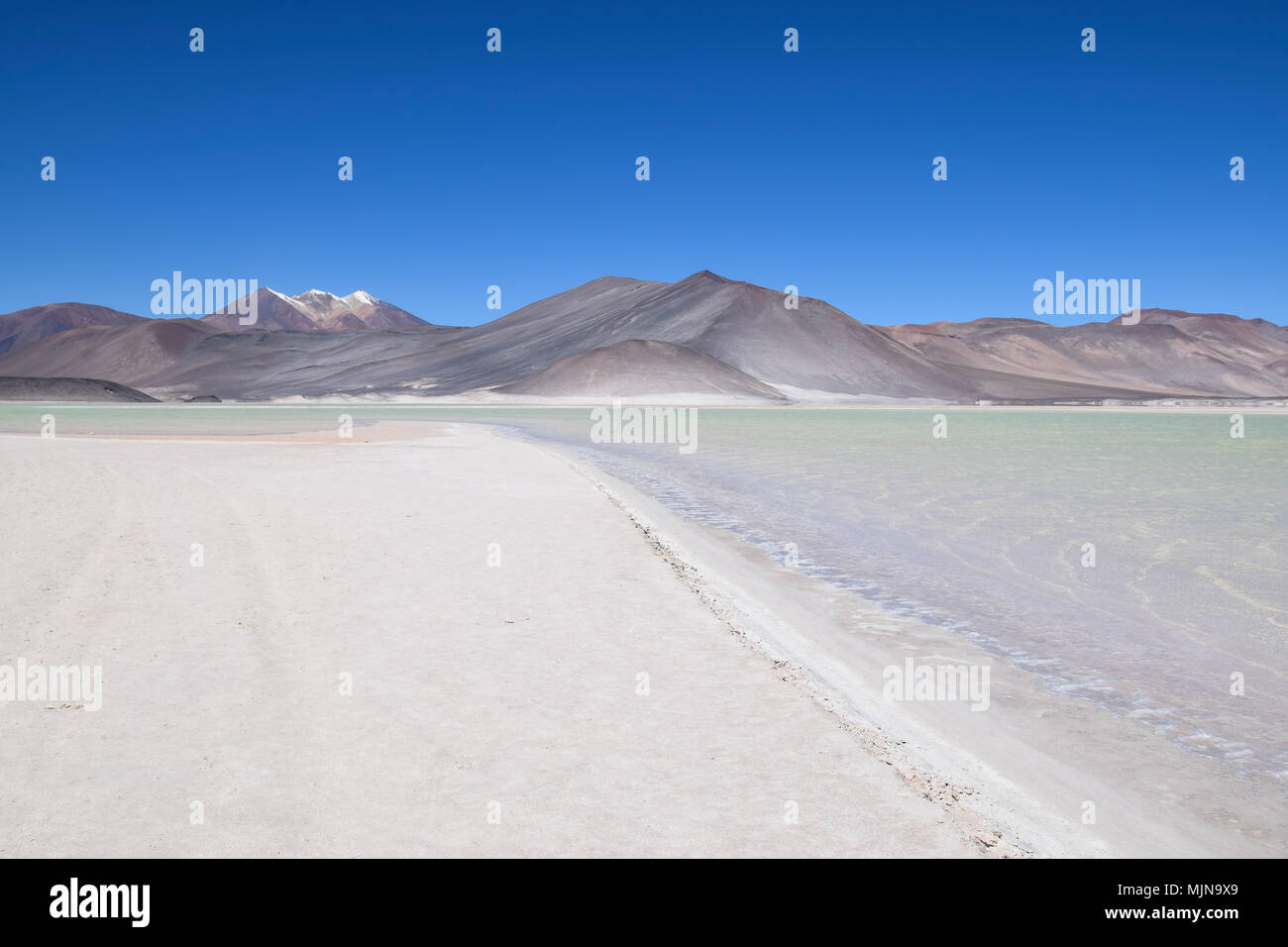 Salar de Talar at Atacama desert (Chile) Stock Photo