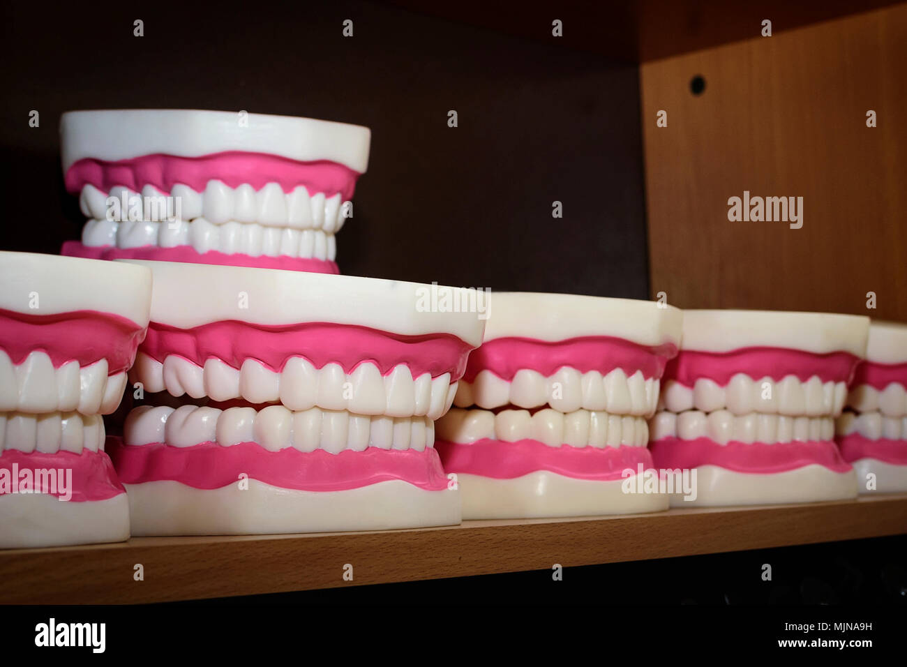 Anatomical teeth models, medicine concept Stock Photo Alamy