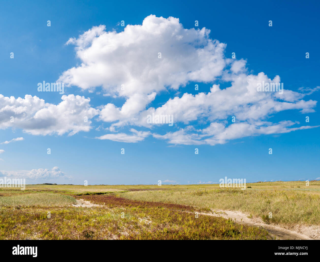 Panorama Landscape Of National Park Schiermonnikoog With Cumulus Clouds ...