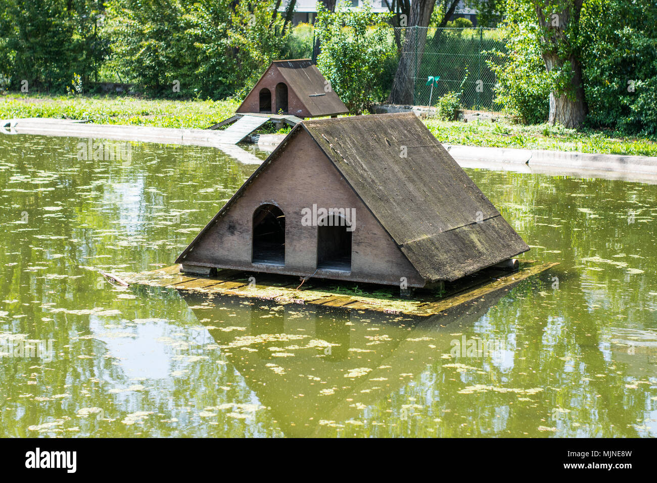 Duck shelter in the lake Stock Photo