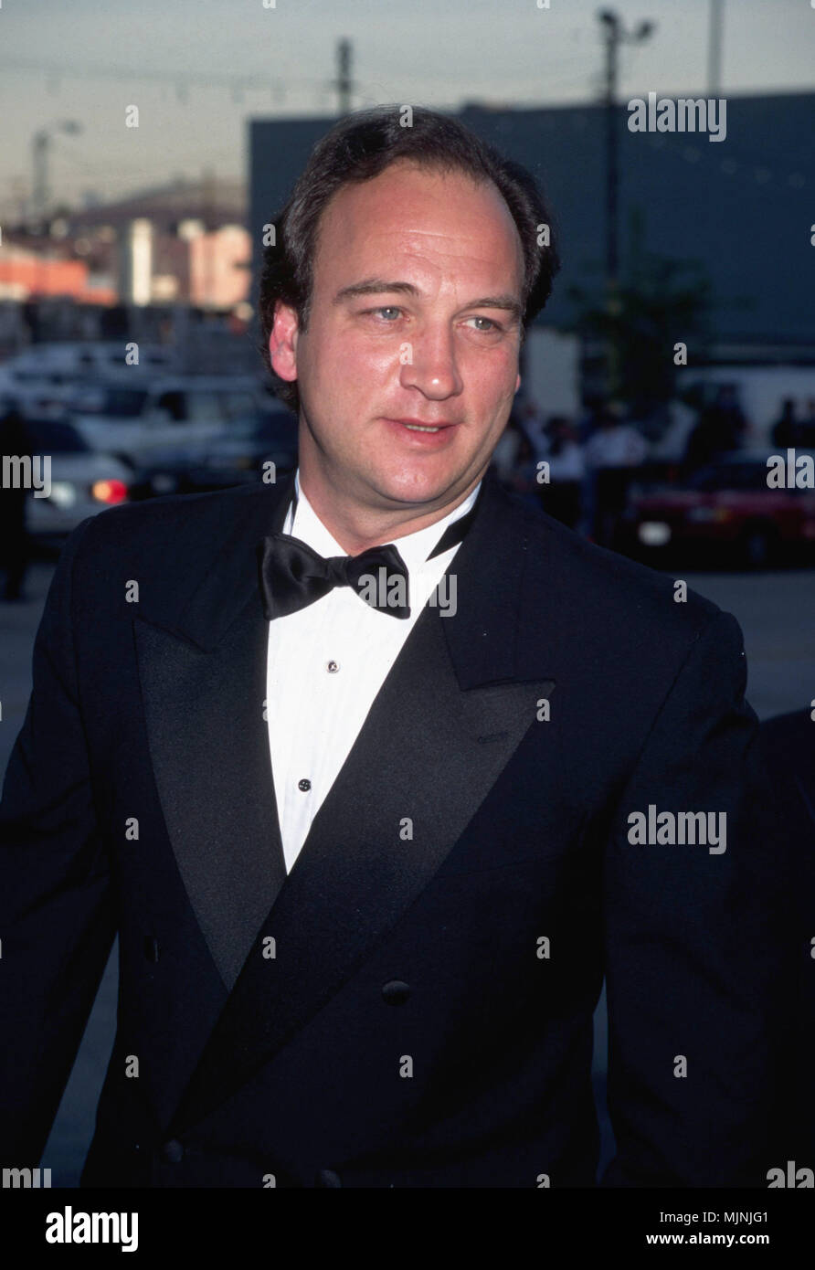 March 1996, Hollywood, Los Angeles, California, USA --- Original caption: 3/1996-Los Angeles, CA: Portrait of Jim Belushi arriving at the Pantages Theater for the Blockbuster Awards. He is shown waist-up, wearing a tuxedo. --- ' Tsuni / - 'Jim Belushi  Jim Belushi Stock Photo