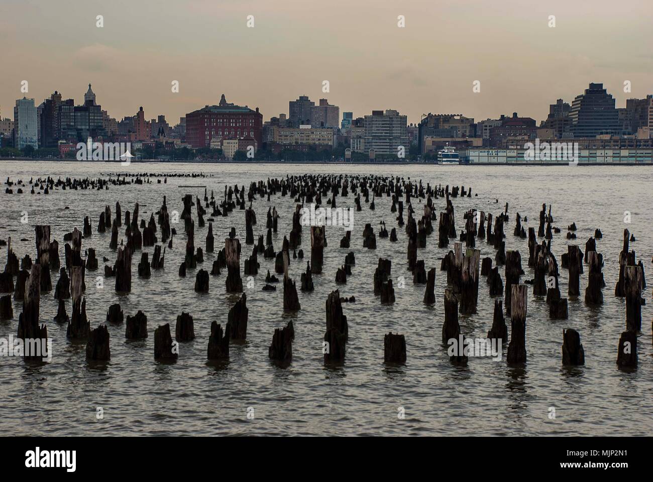 Newport green park new jersey hi-res stock photography and images - Alamy