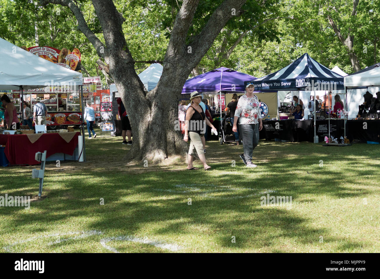 Arts & Crafts Fair at the 14th annual Balloon Festival in the Foley