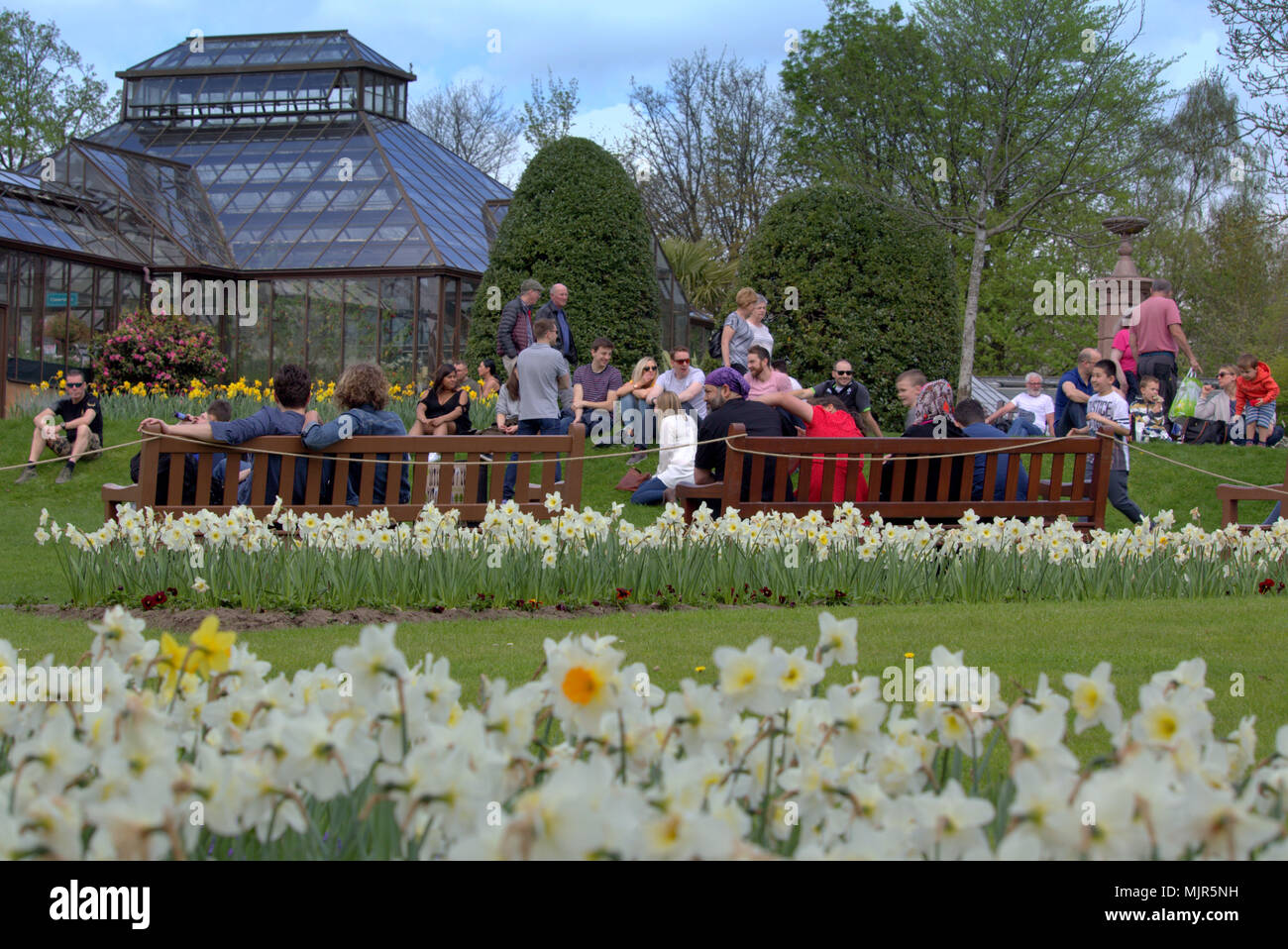 Glasgow, Scotland, UK 6th May. UK Weather : Sunny summer weather finally reaches the city for the Bank Holiday weekend. Locals and tourists enjoy the sun in the Botanic Gardens, the botanics, in the plush west end. Gerard Ferry/Alamy news Stock Photo