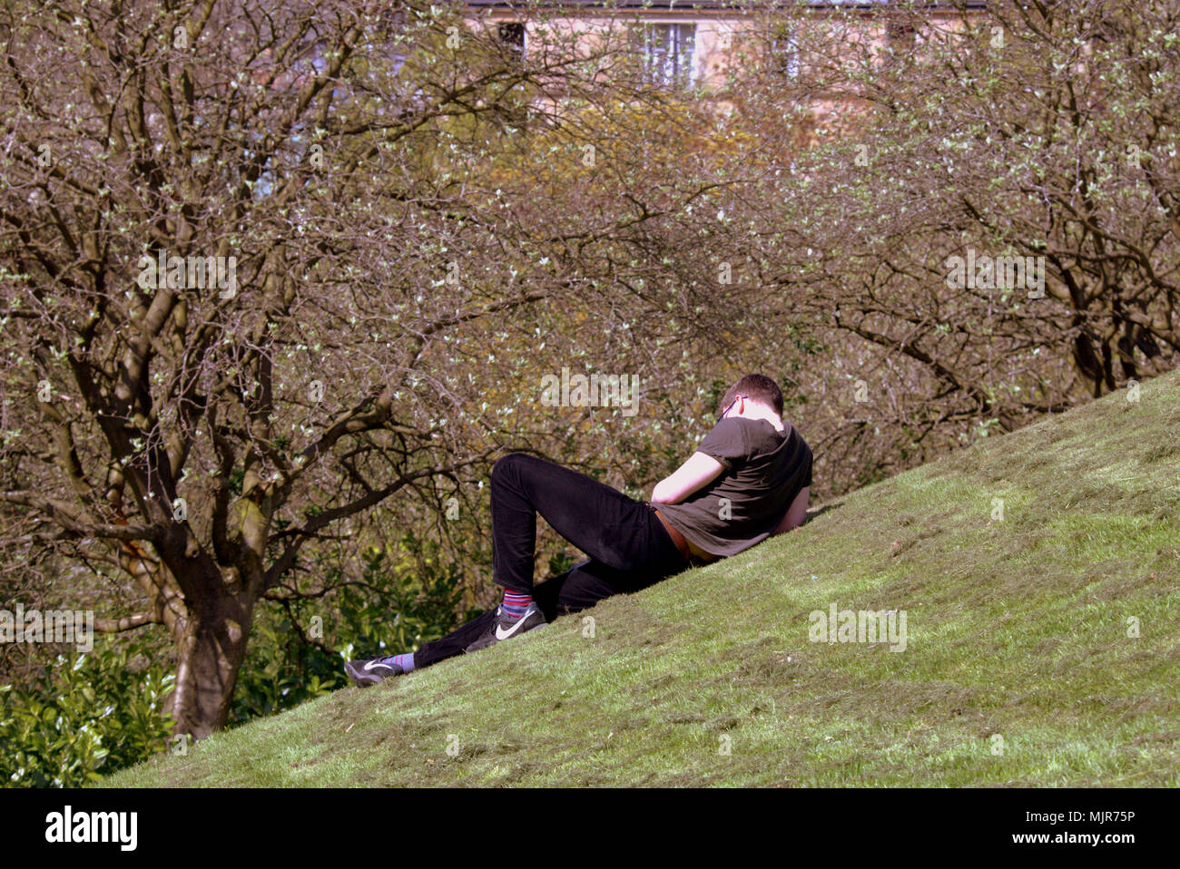 Glasgow, Scotland, UK 6th May. UK Weather : Sunny summer weather finally reaches the city for the Bank Holiday weekend. Locals and tourists enjoy the sun in Kelvingrove Park in the plush west end of the town. Gerard Ferry/Alamy news Stock Photo
