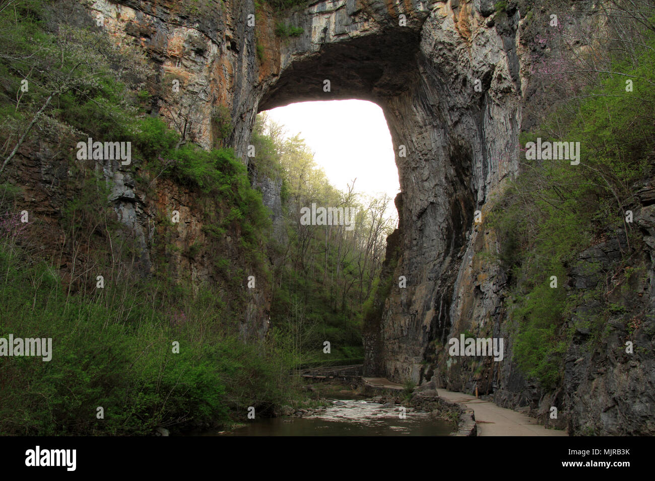 Natural Bridge State Park Va All You Need Infos