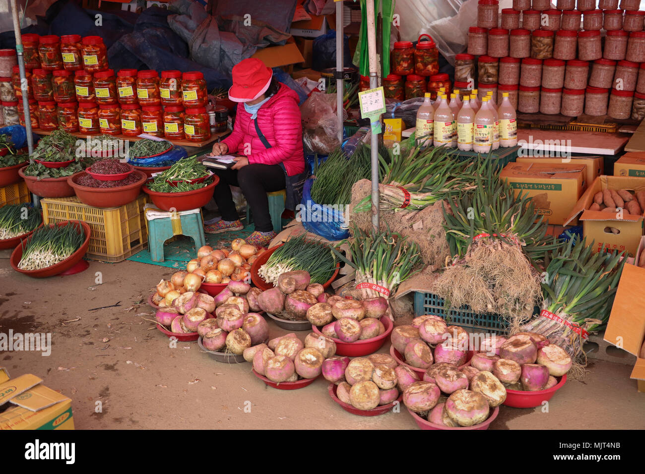 A Korean woman in a bright pink jacket oversees her stall in the Traditional Market in Ganghwa, South Korea, where she sells Kimchi, turnips, onions. Stock Photo