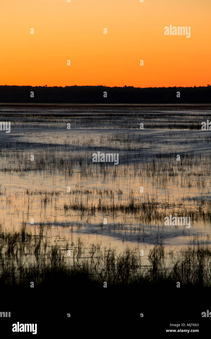 Rice Lake dawn, Rice Lake National Wildlife Refuge, Minnesota Stock