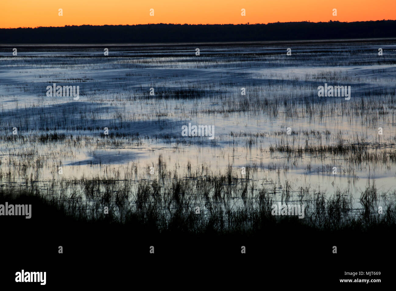 Rice Lake dawn, Rice Lake National Wildlife Refuge, Minnesota Stock