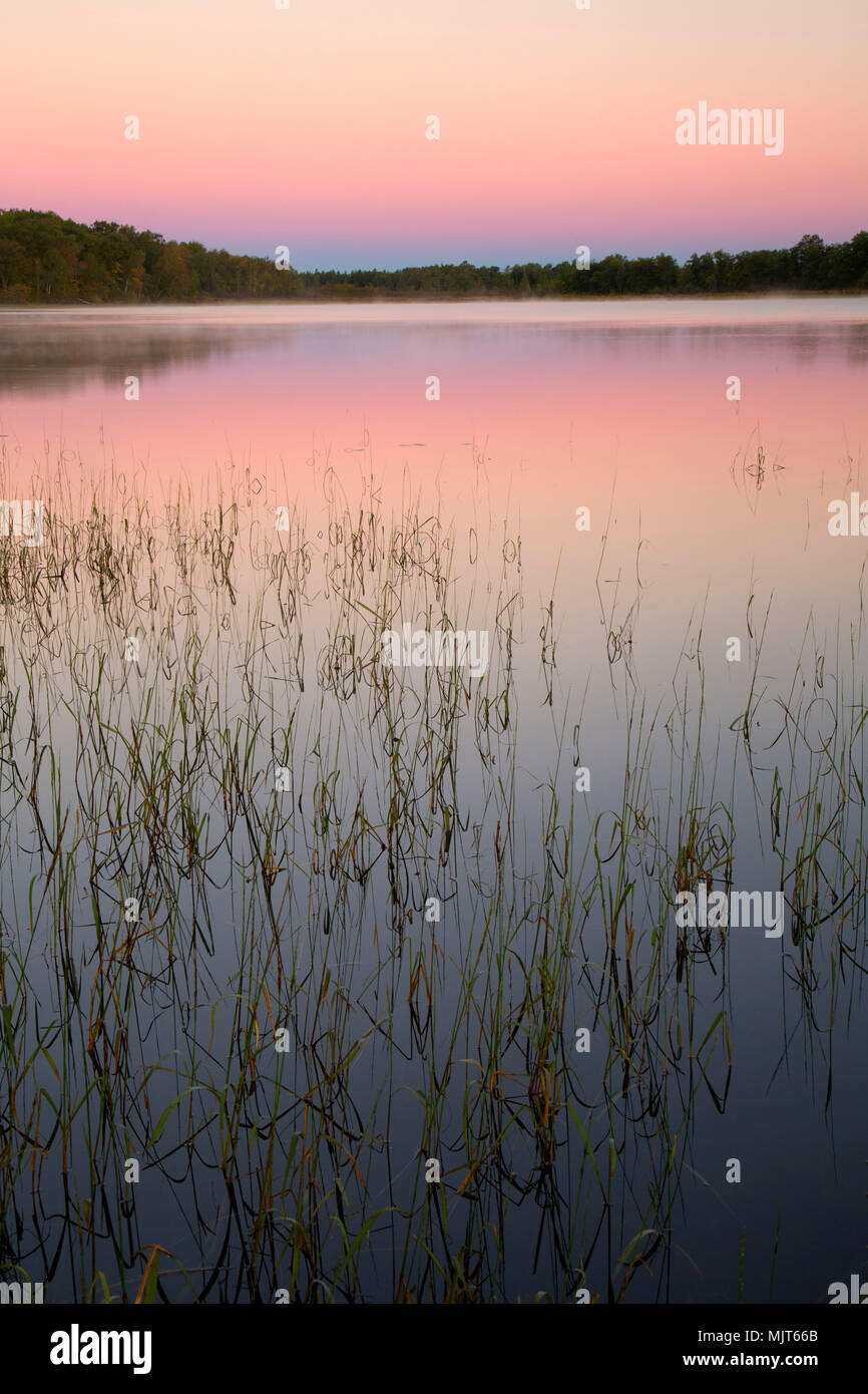Mandy Lake dawn, Rice Lake National Wildlife Refuge, Minnesota Stock