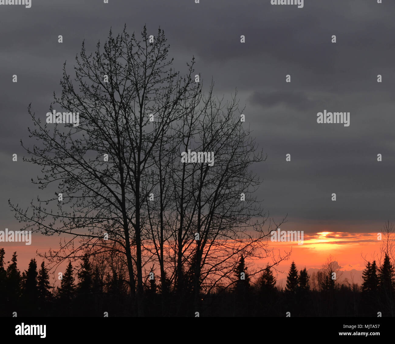Cool sunset scene hi-res stock photography and images - Alamy