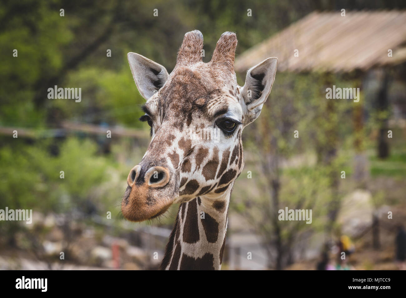 Omaha's Henry Doorly Zoo and Aquarium Stock Photo Alamy