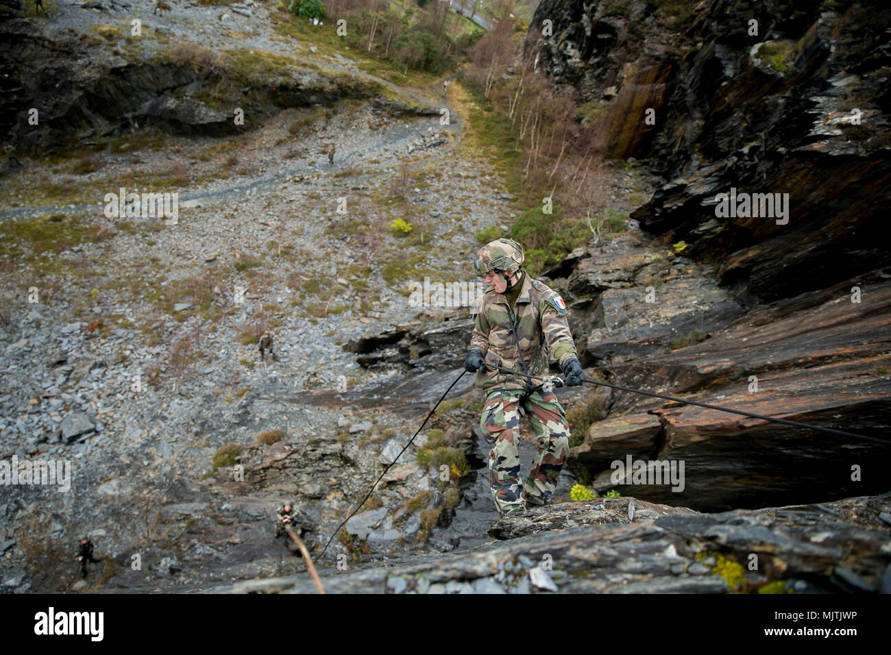 Green Claymore High Resolution Stock Photography And Images Alamy Green Claymore High Resolution Stock Photography And Images Alamy