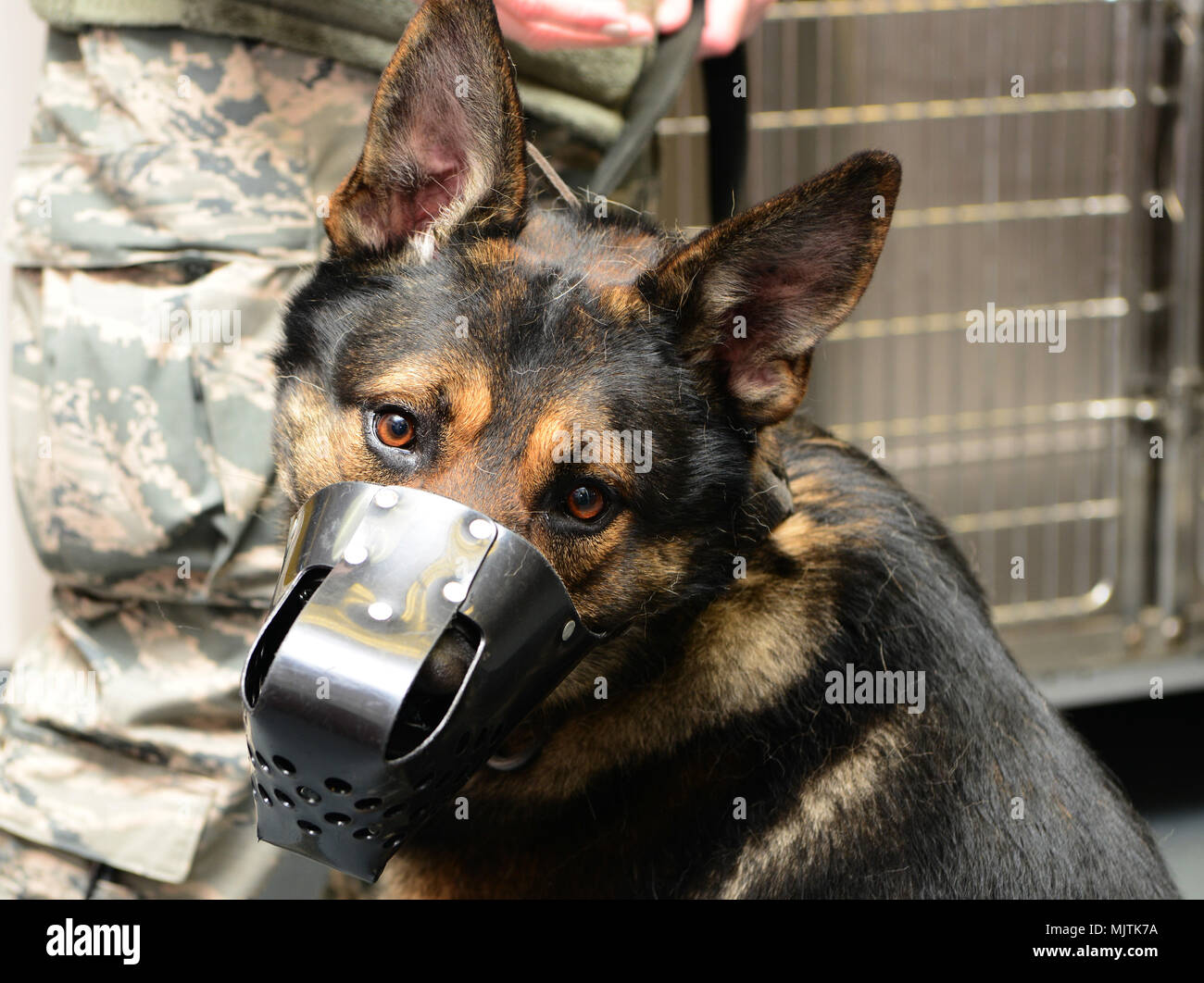 Beale clinic hires stock photography and images Alamy