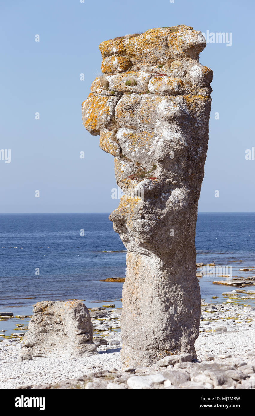 Sea sack at Langhammars on Faro island in the Swedish province of Gotland.. Stock Photo