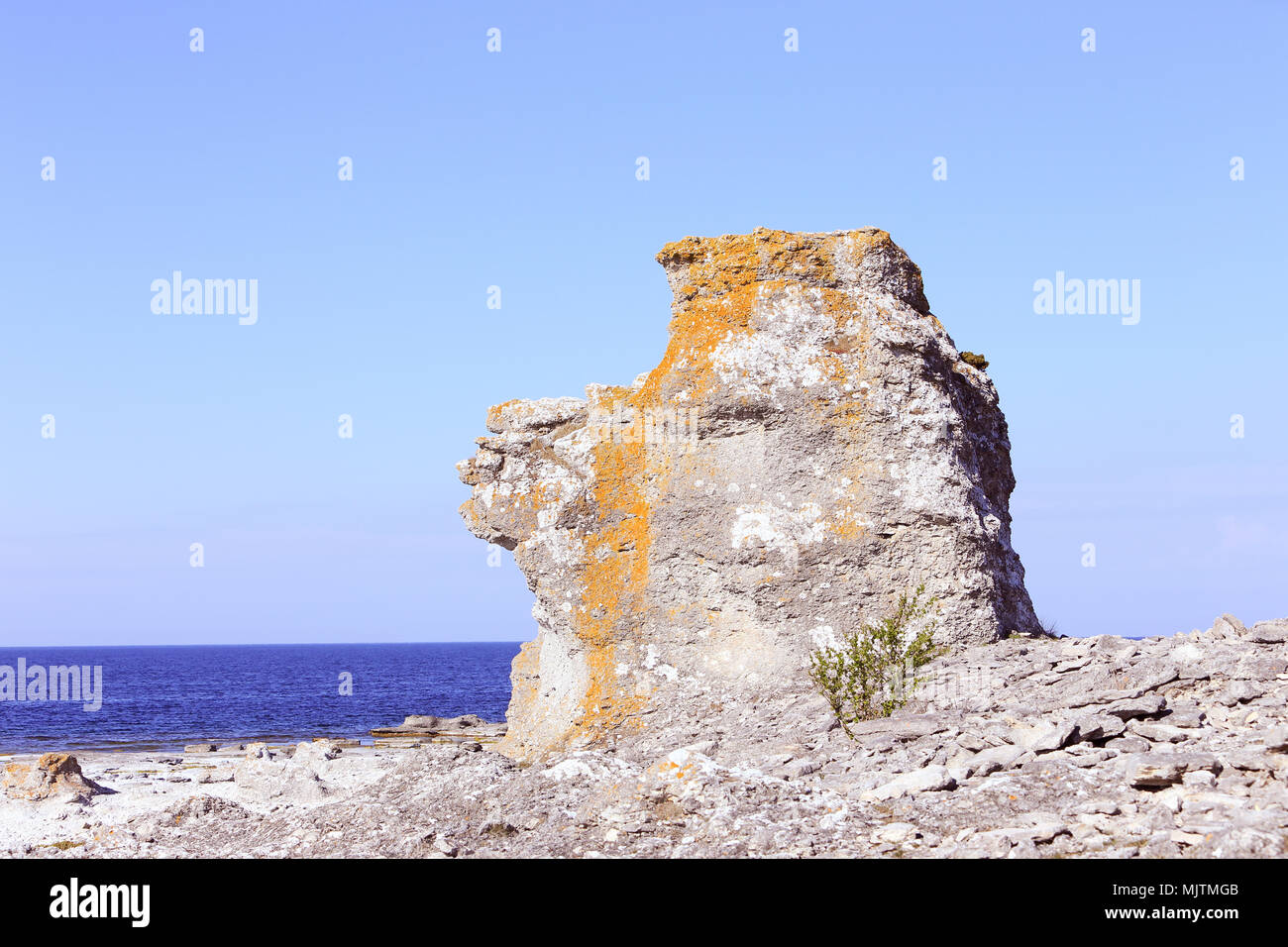 One sea stack at the Langhammars in Swedish province of Gotland. Stock Photo