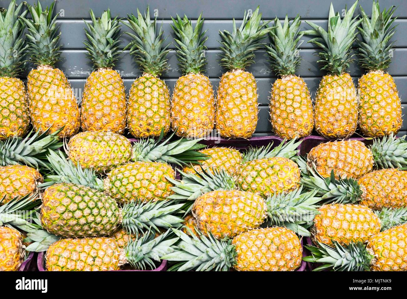 Costa rica pineapples hires stock photography and images Alamy