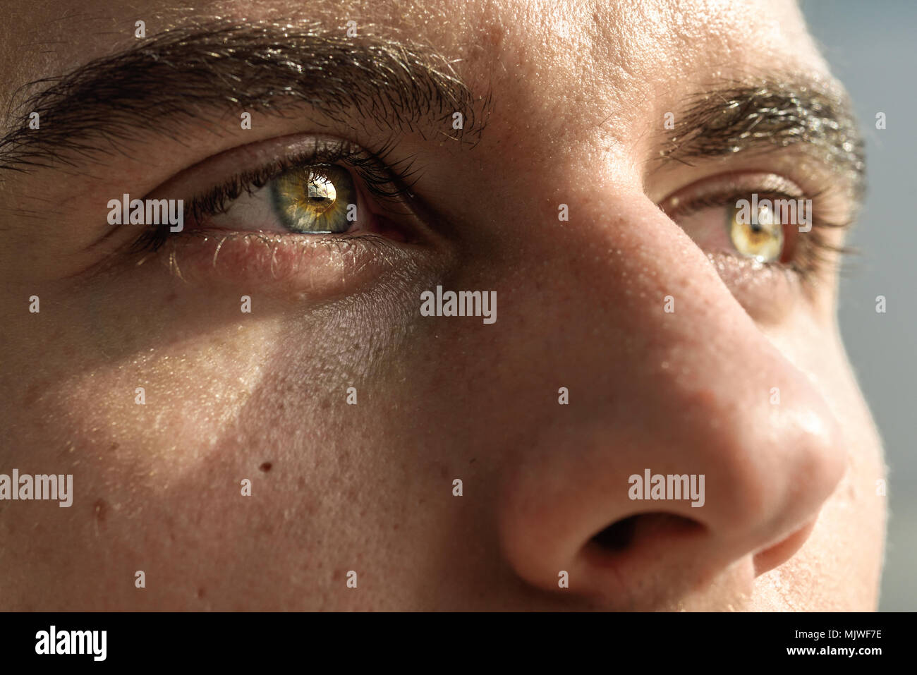 Close-up Shot Of Man's Eye. Man With Blue Eyes. Stock Photo