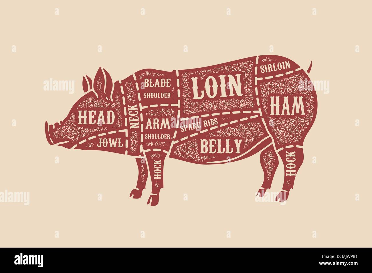 pig butcher diagram. Pork cuts. Design element for poster, card, emblem, badge. Vector image Stock Vector