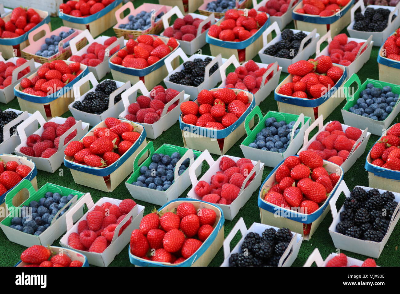 Display of Neat rows of Mini identical boxes of summer fruit - raspberries, blueberries, blackberries and strawberries Stock Photo
