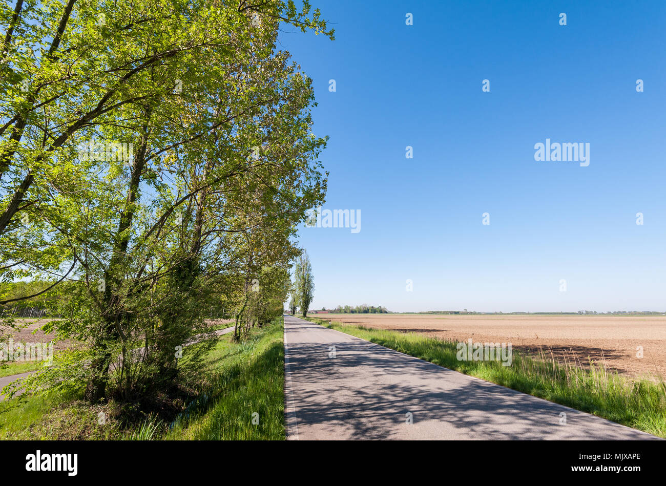 Countryroad through a rural landscape in summer Stock Photo - Alamy