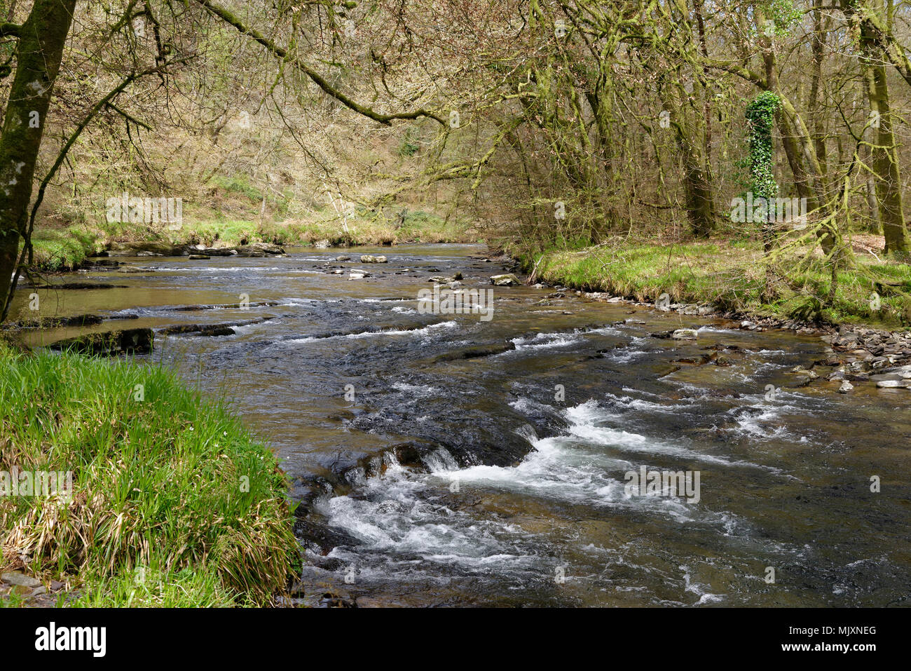 River Barle near Mounsey Castle, Dulverton, Exmoor, Somerser Stock Photo