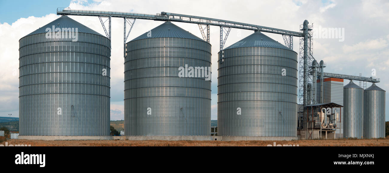 Silos. Storage and drying of grains, wheat, corn, soy, sunflower against the blue sky. Panorama. Stock Photo