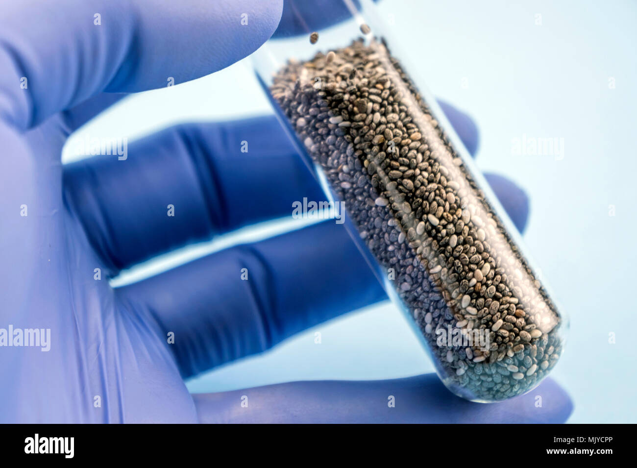 Seed laboratory hires stock photography and images Alamy