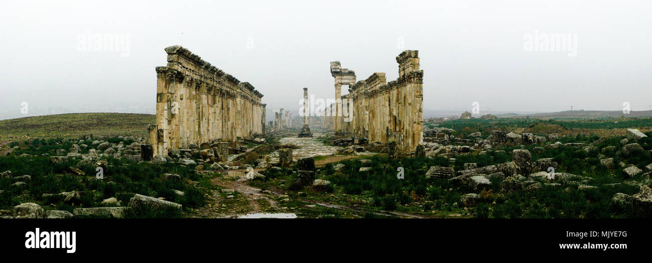 Great Colonnade at Apamea in fog, partially destroyed , Syria Stock Photo