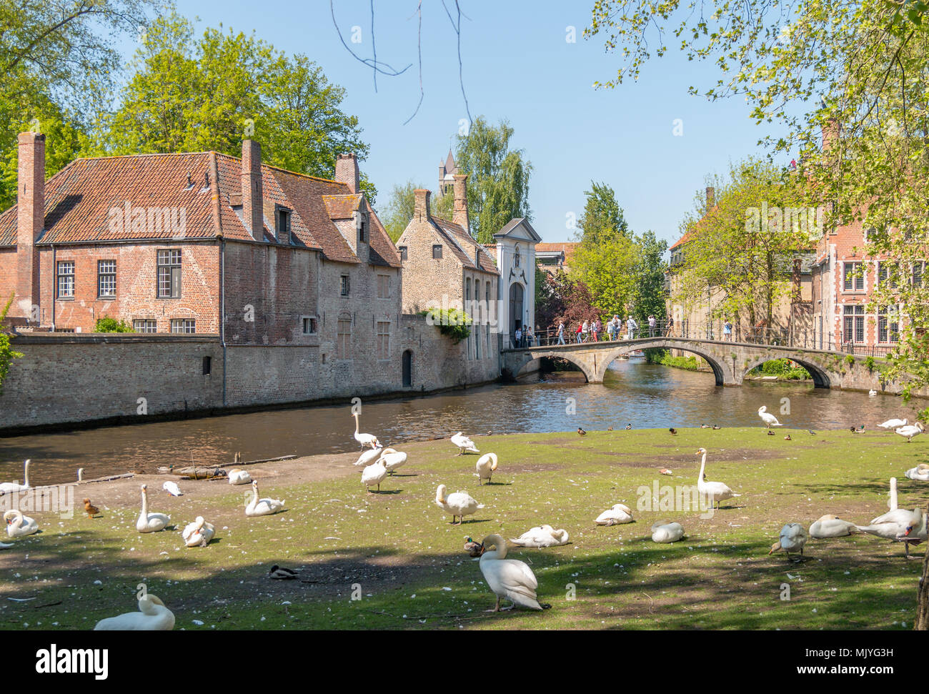 Bruges, Belgium - Mai 4, 2018: View on the Dijver river with the medieval beguinage on the background Stock Photo