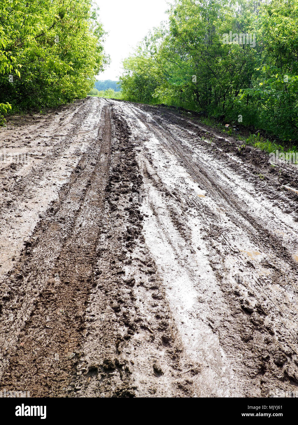 Texture mud wet dirt puddle hi-res stock photography and images - Alamy