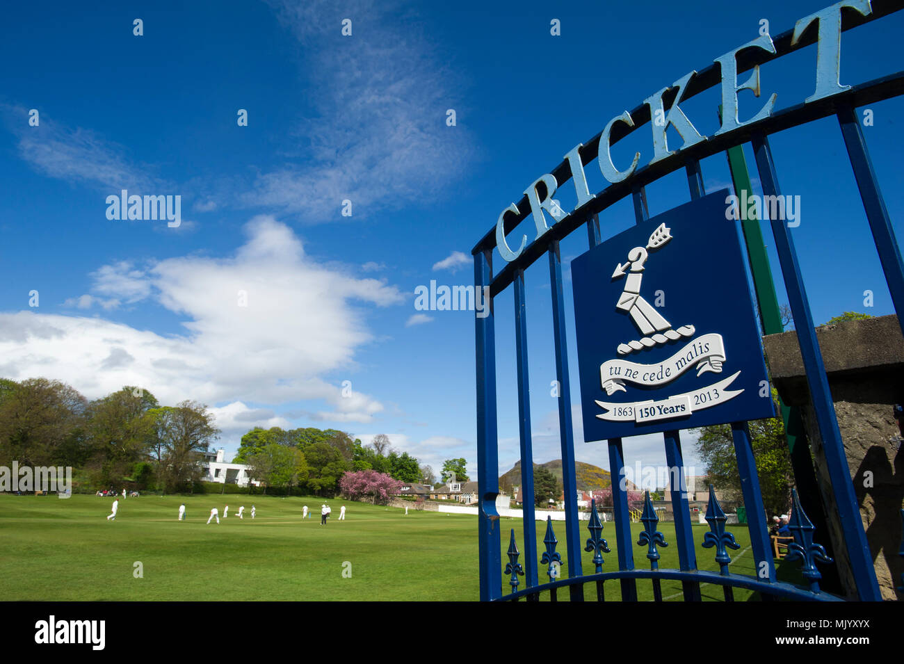 Carlton cricket ground at Grange Loan, Edinburgh Stock Photo Alamy