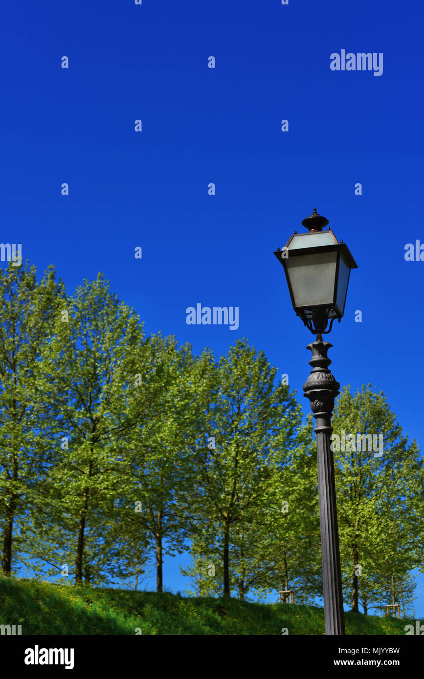 Trees street lamp hi-res stock photography and images - Alamy