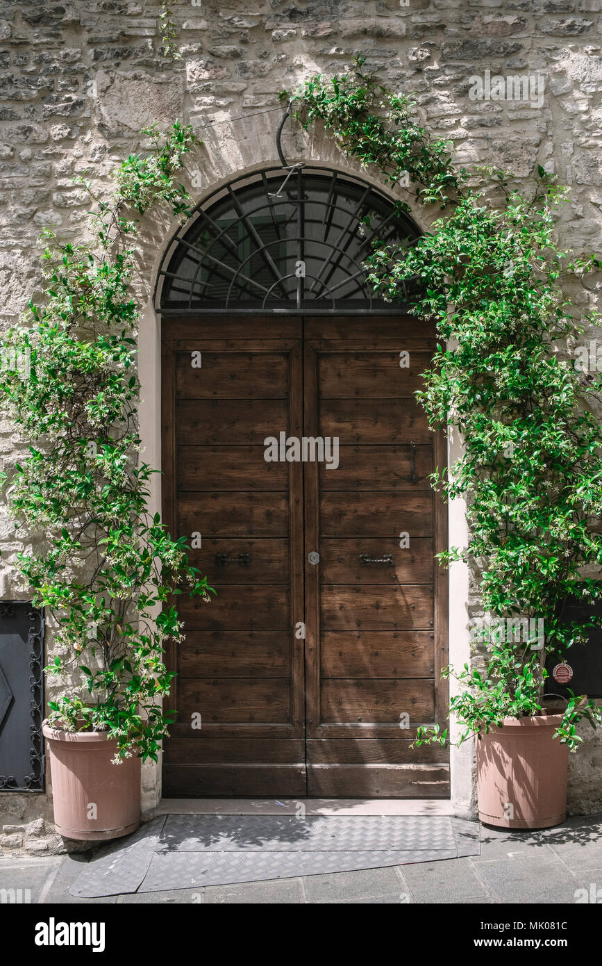 Potted vines climb over a wooden door in Assisi, Italy. Stock Photo