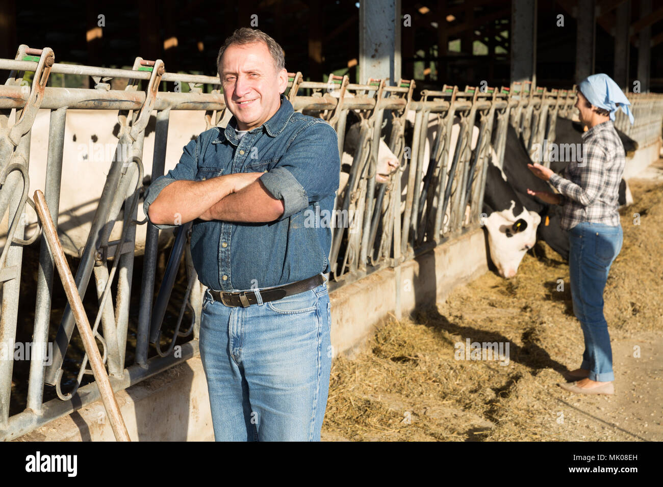 Portrait of man who is standing near cows at the farm Stock Photo - Alamy