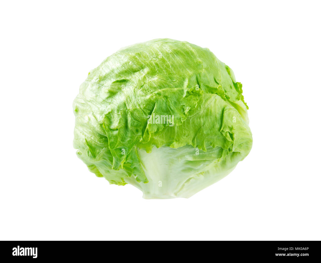 Iceberg lettuce salad head isolated on white Stock Photo Alamy