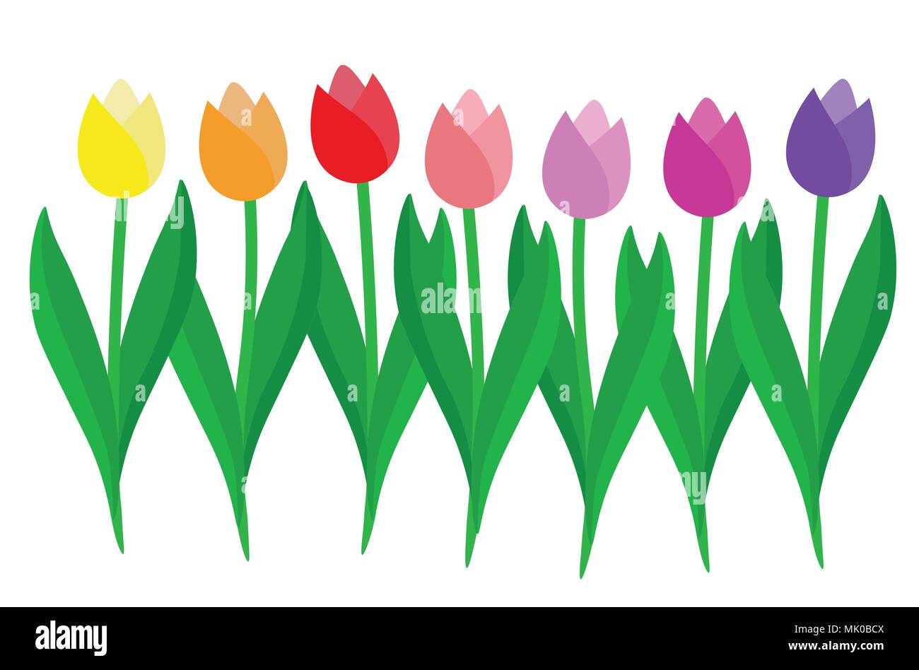 Set of colorful Tulips Stock Vector