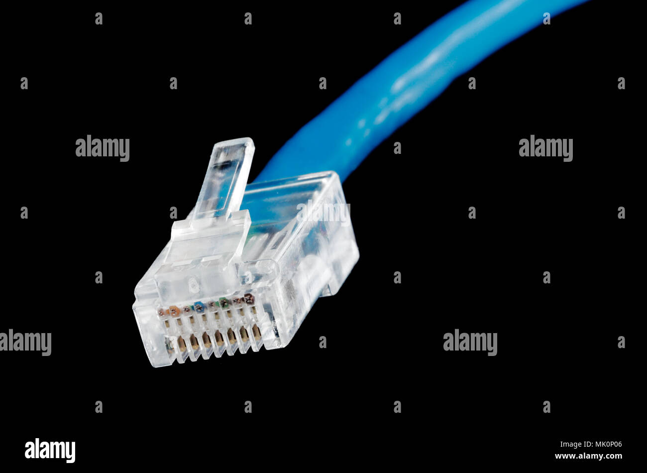 Close-up of a blue network cable isolated on black. Stock Photo
