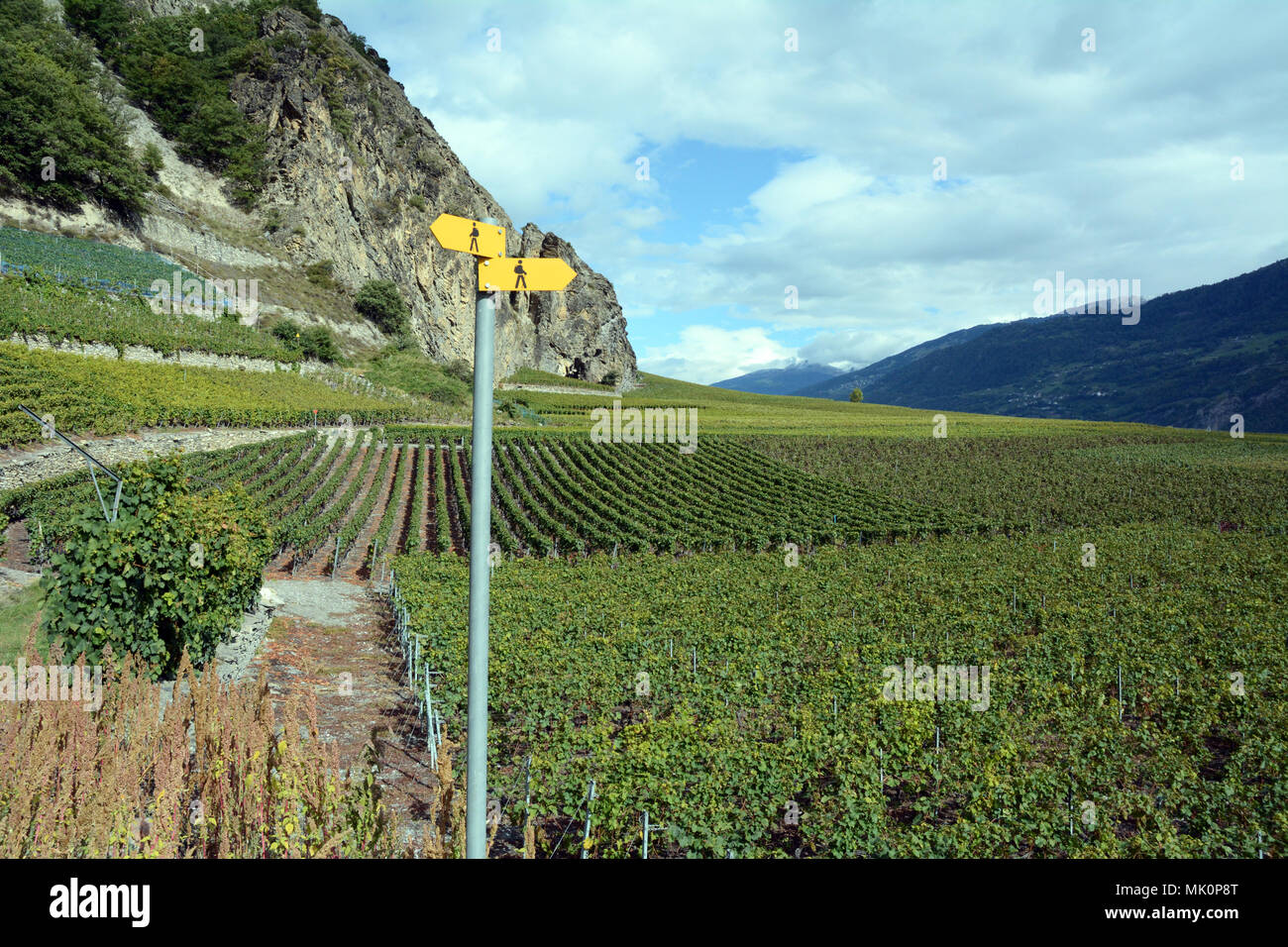 Trail markers beside vineyards on the Swiss Wine Trail in the Rhone Valley, near the town of Leytron, in the canton of Valais, Switzerland. Stock Photo
