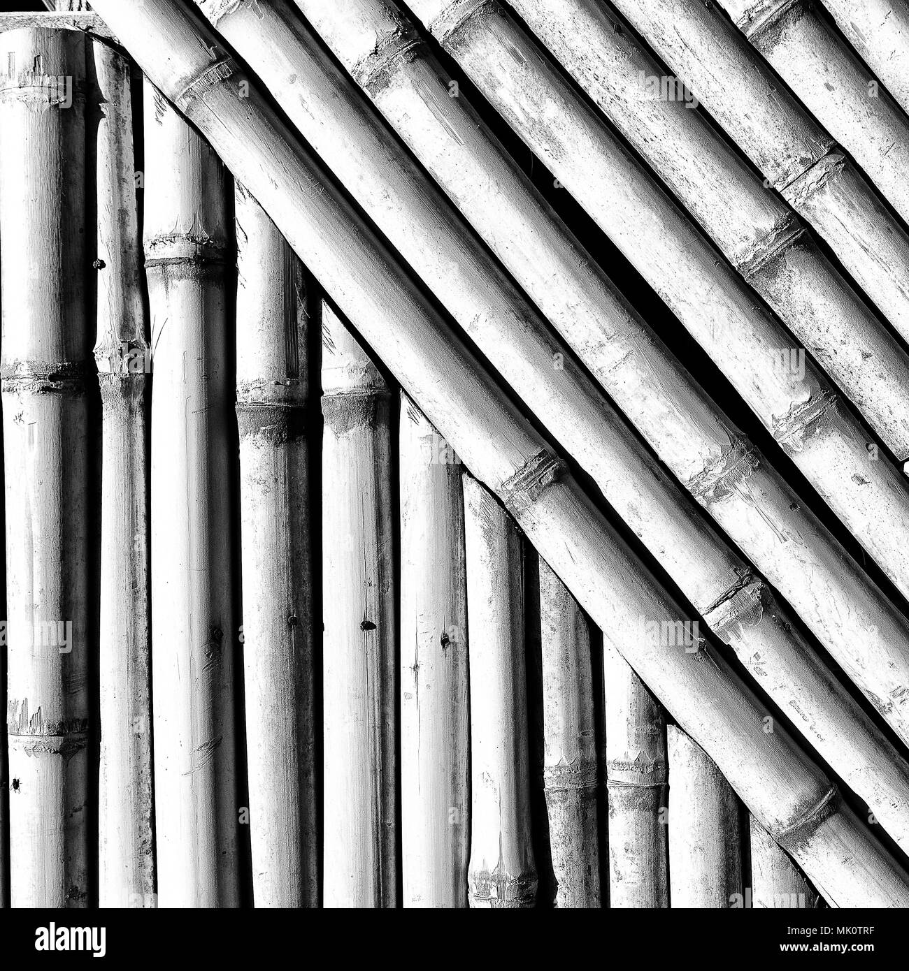 abstract texture background of the bamboo wall and material decor Stock