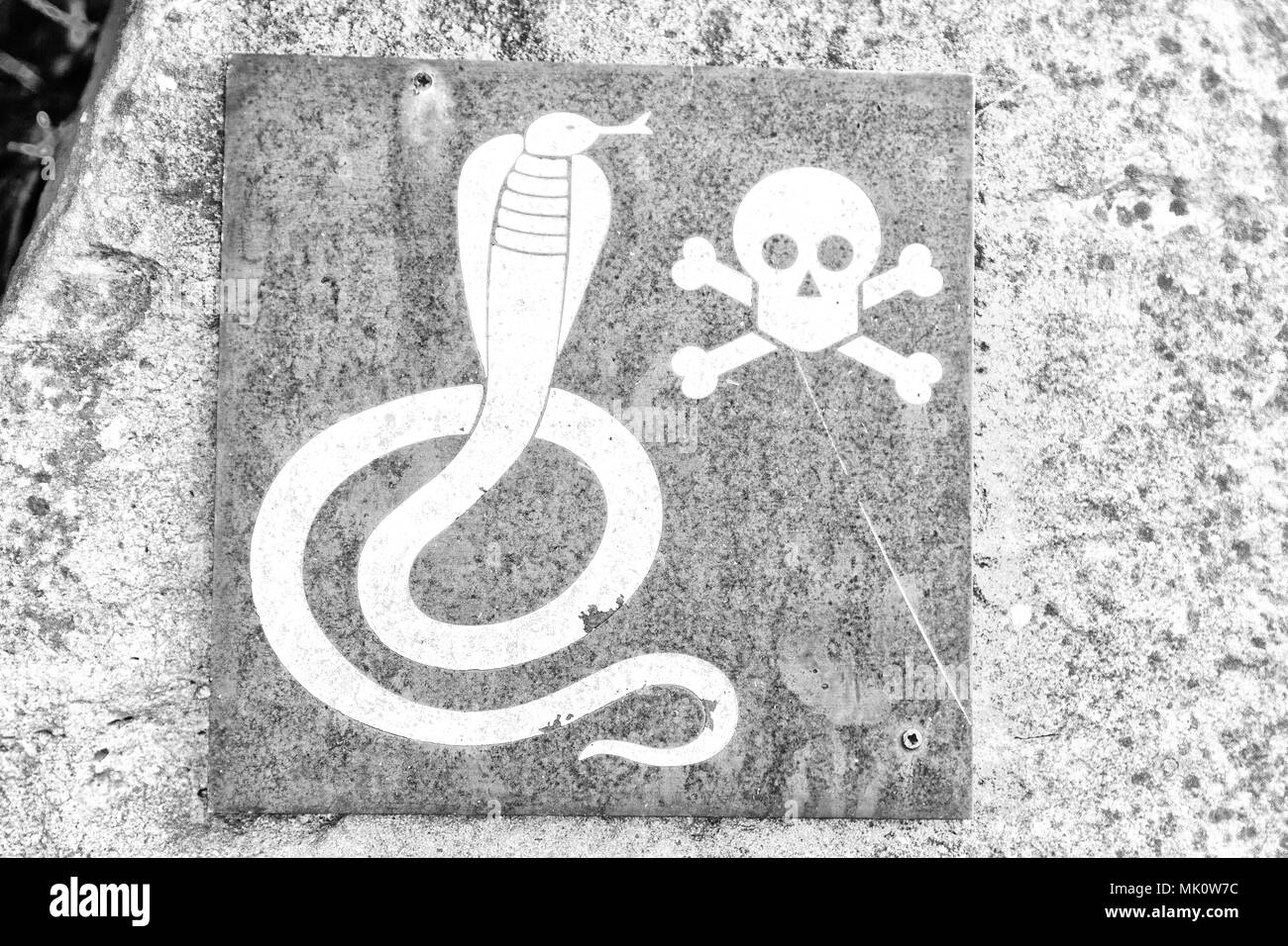 in south africa the metal signal of the danger for wild snake and the skull and bones in a rock concept od fear Stock Photo