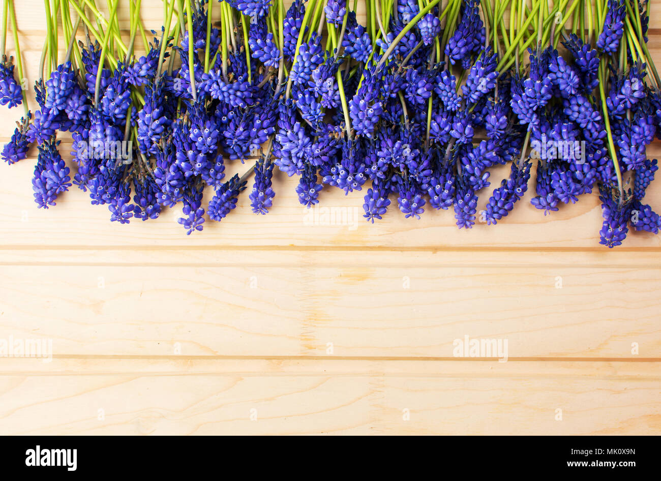 Hyacinth flowers on a wooden board with copyspace Stock Photo
