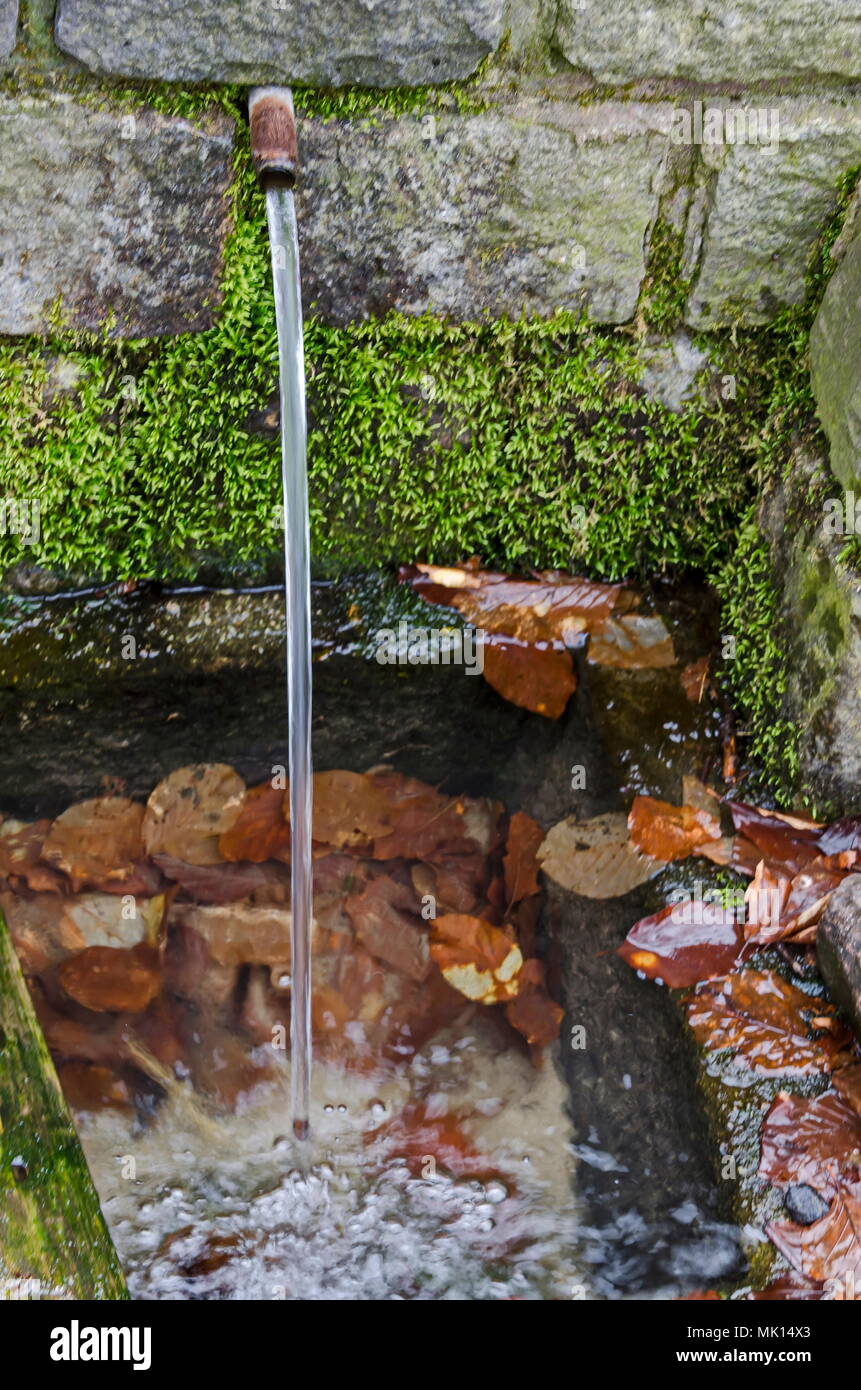 Fresh water gush from  old fountain in the Plana mountain, near village Plana, Bulgaria Stock Photo