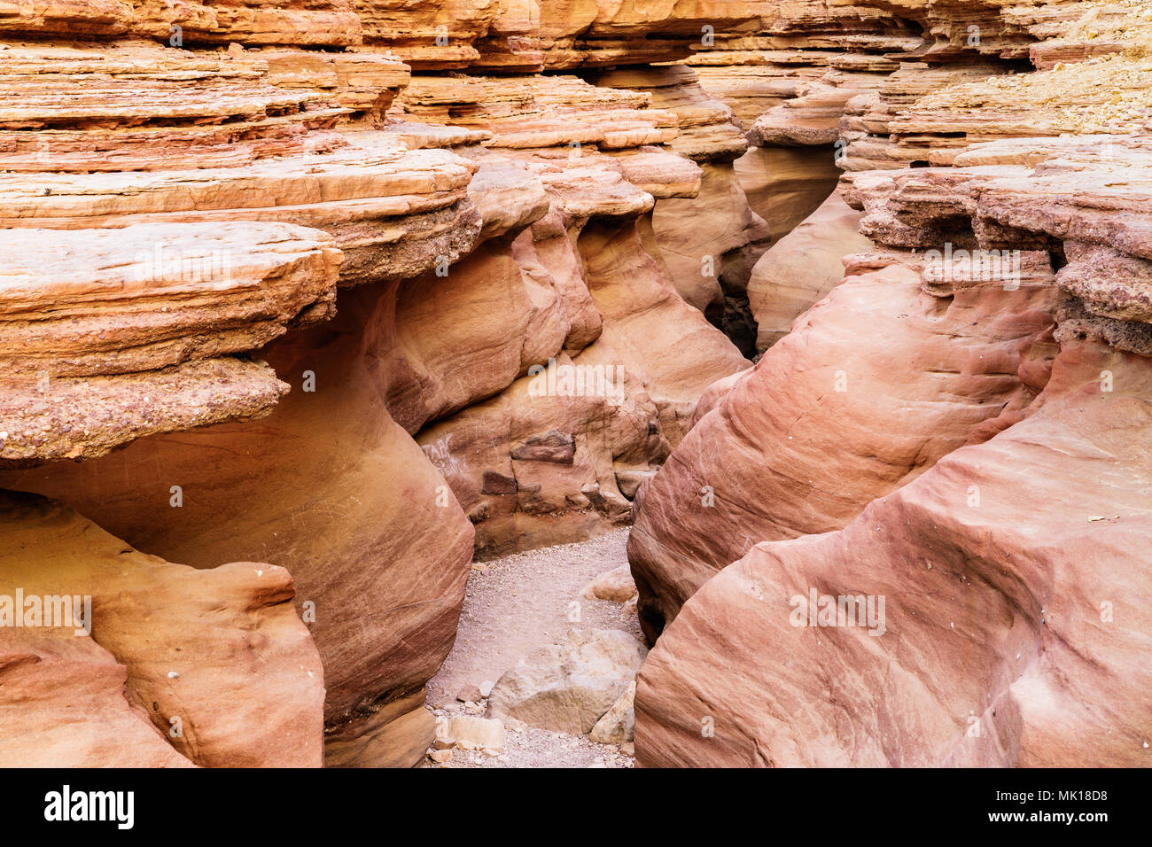 Waved and layered rocks of Red canyon formed and eroded by water. Nature reserve near Eilat city, Negev desert in Israel is popular tourist attraction Stock Photo