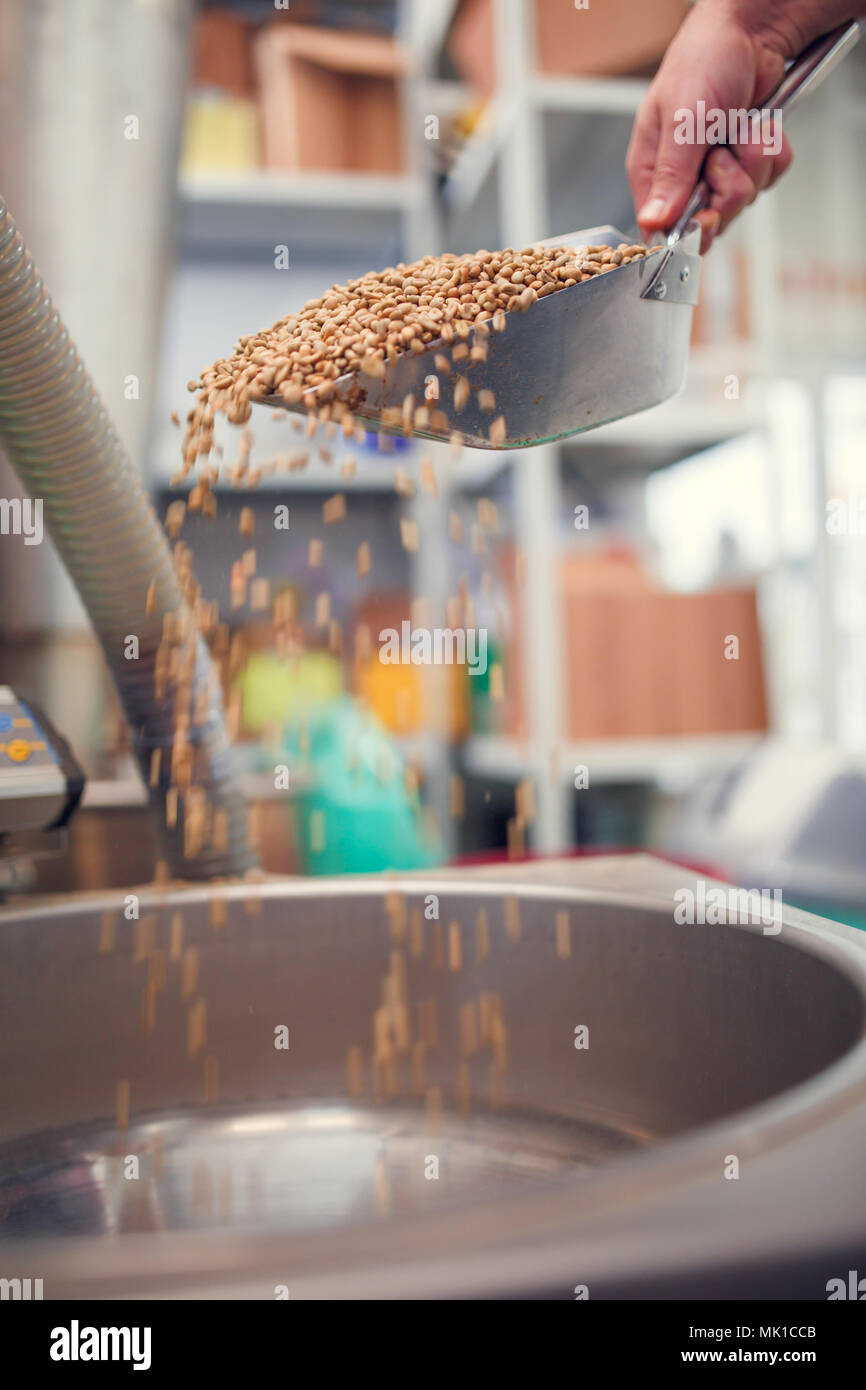 Picture of scoop with fresh coffee beans, industrial scales Stock Photo