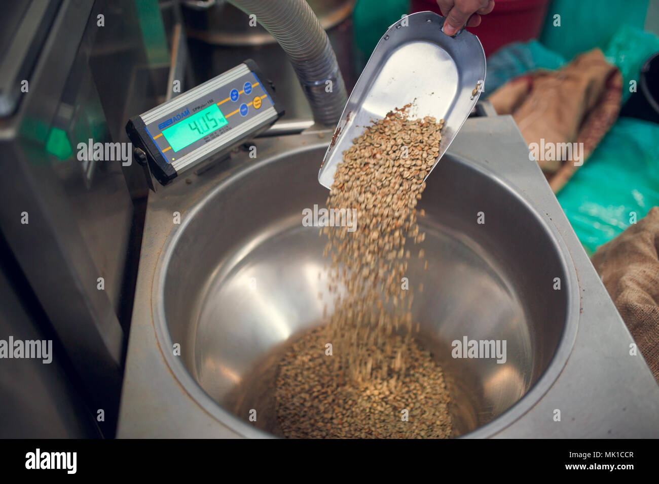 Picture of scoop with nonroasted coffee beans, industrial scales Stock