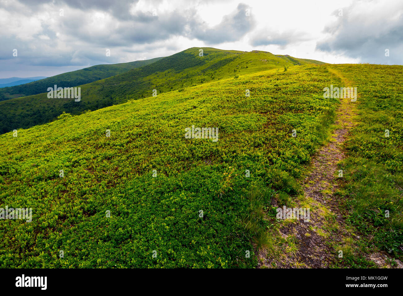 path through mountain ridge on an overcast day. lovely scenery of Runa mountain, Ukraine Stock Photo